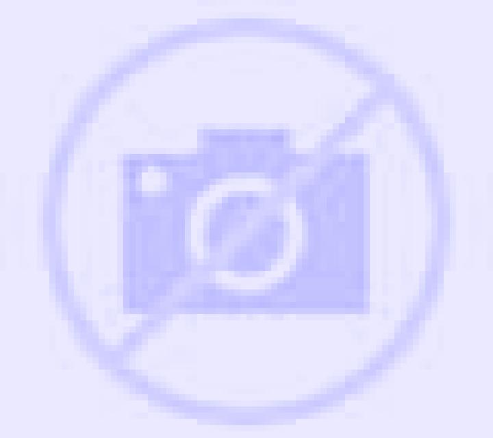 Abril 3 Curacautin escort