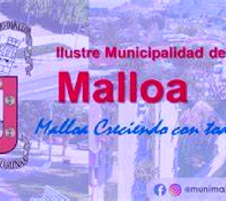 Amaya Rinconada de Malloa escort