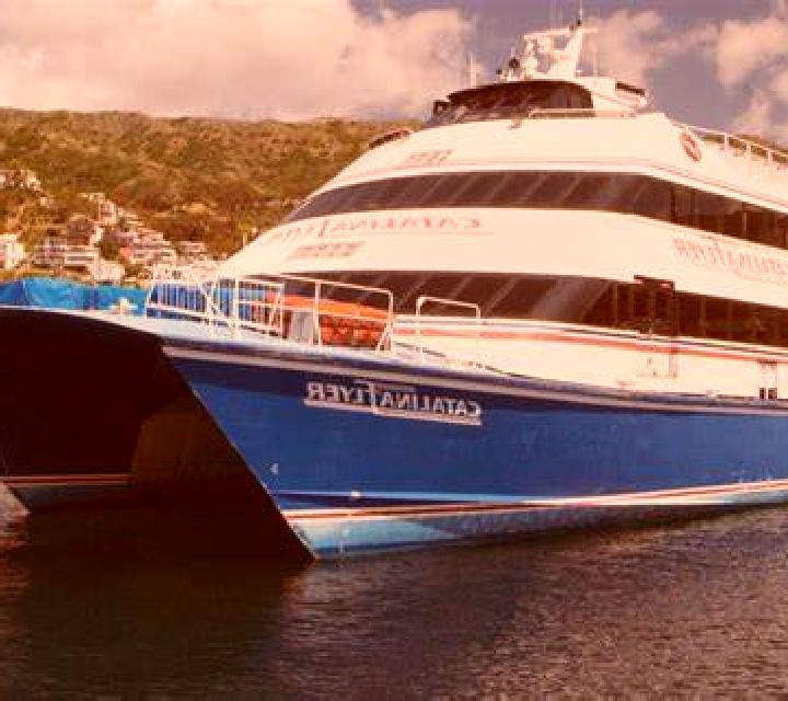 Catalina Cholchol escort