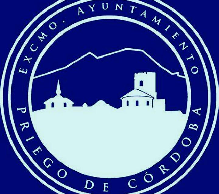 Constanza Curarrehue escort