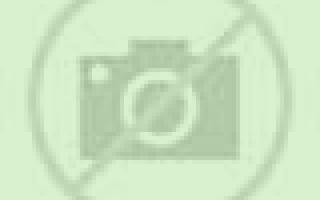 Estrella 2 San Jose de la Mariquina escort