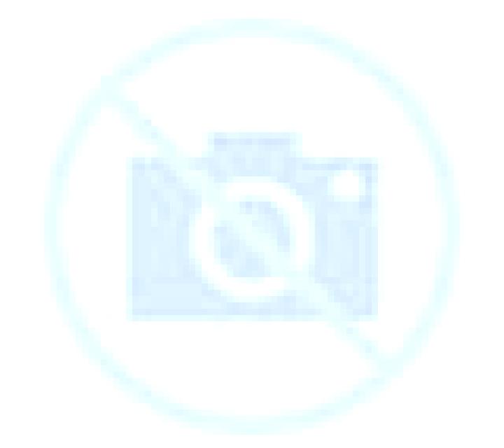 Fernanda San Esteban escort