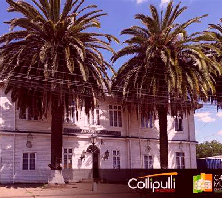 Florencia 3 Collipulli escort