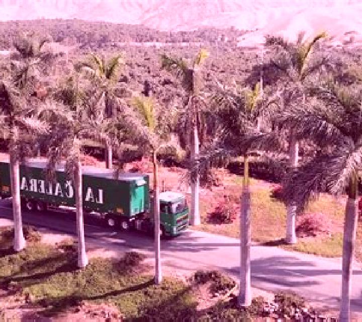 Gabriela 3 Hacienda La Calera escort