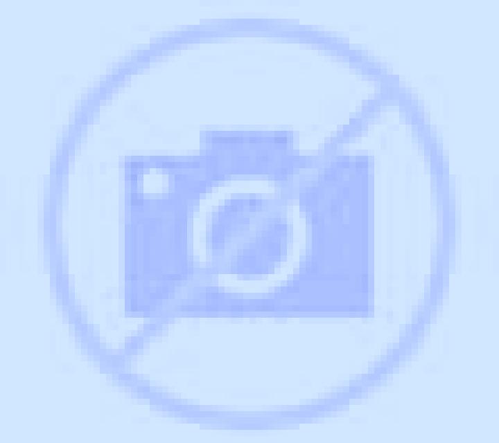 Ignacia Placilla escort