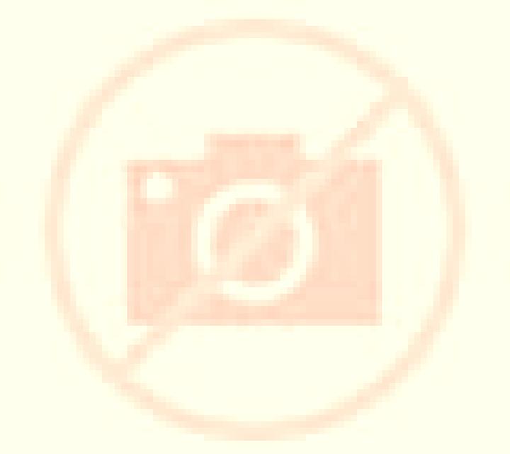 Isabela 2 Palmilla escort