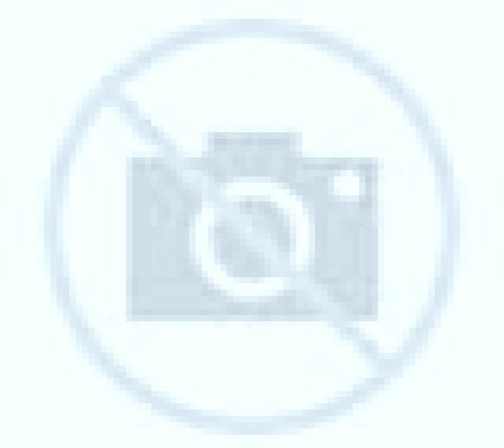 Javiera 3 Nogales escort