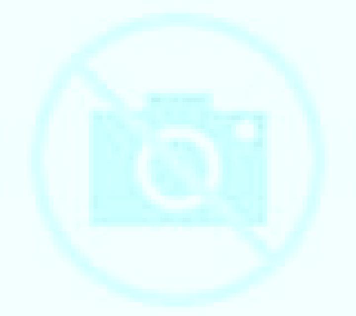Luna Paine escort