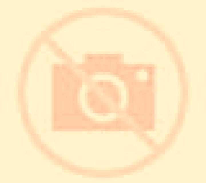 Macarena Las Animas escort