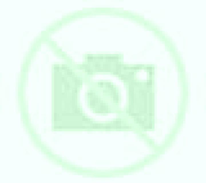 Macarena Paine escort