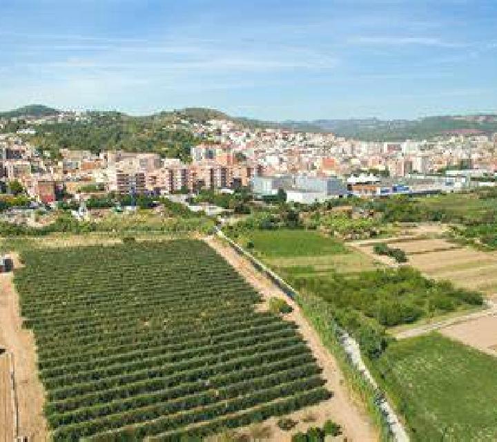 Millaray 2 Constitucion escort