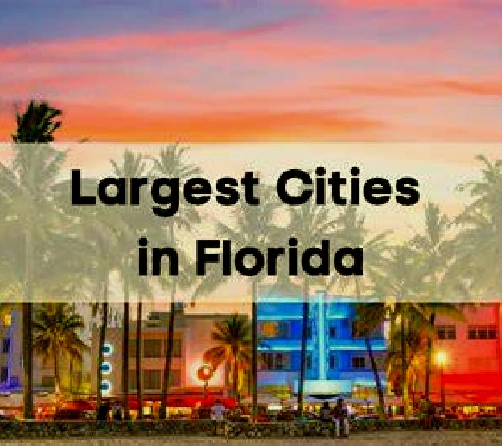 Olivia 2 Florida escort