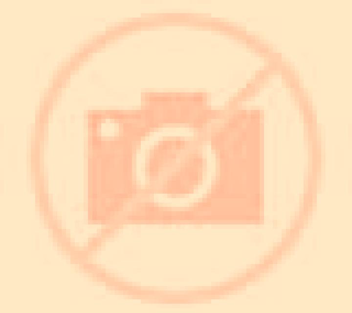 Olivia 2 Ninhue escort