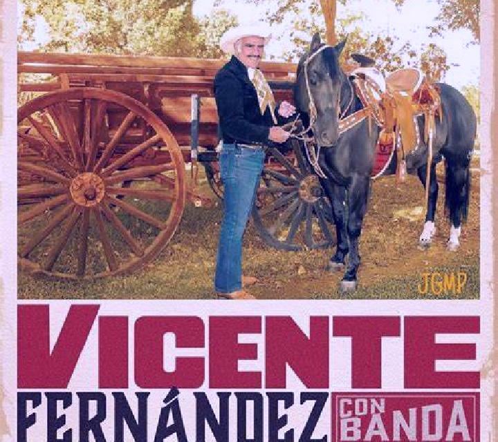Rayén 3 San Vicente escort