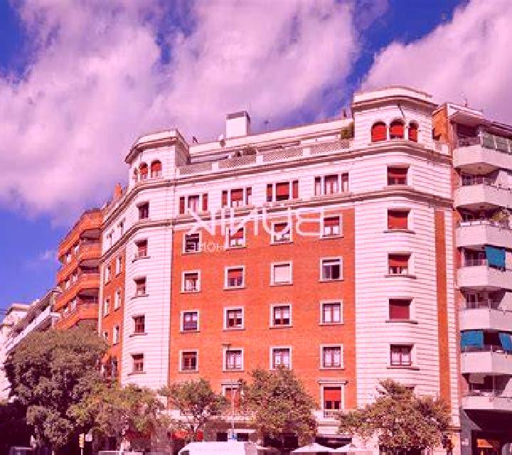 Rayén Coelemu escort
