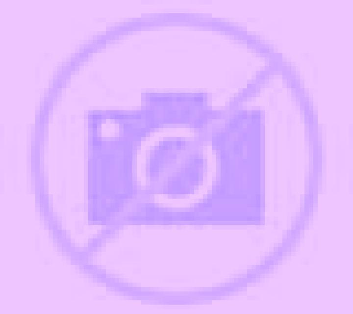 Regina 2 Paine escort