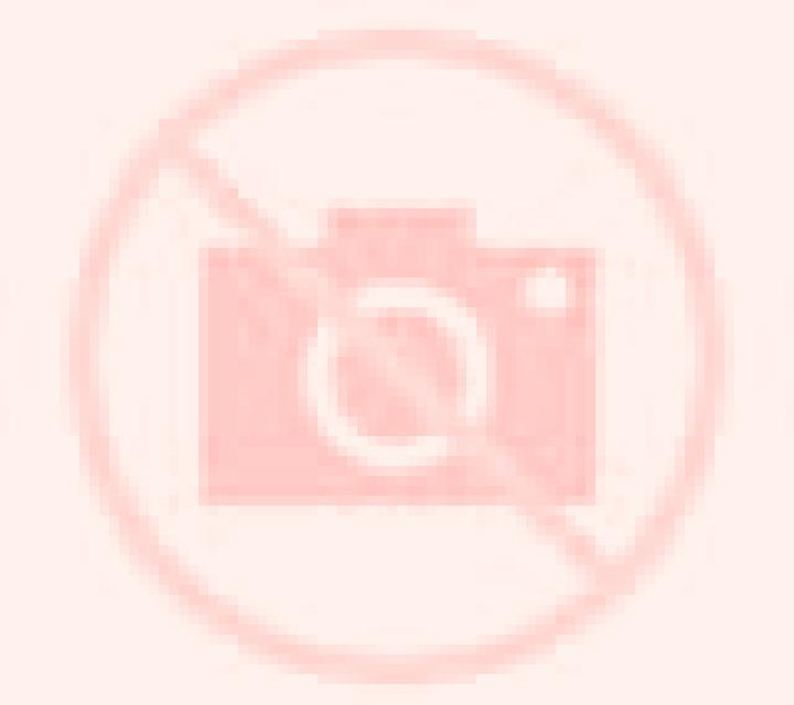 Renata Labranza escort