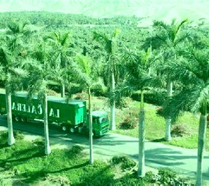 Salma 2 Hacienda La Calera escort