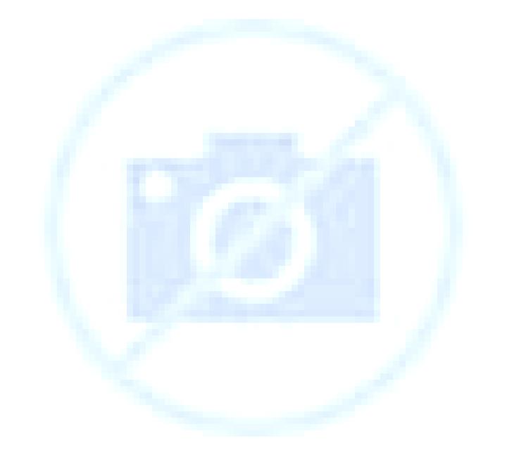 Salma Antuco escort