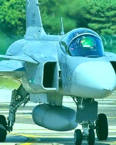 Vega 3 Calle Larga escort
