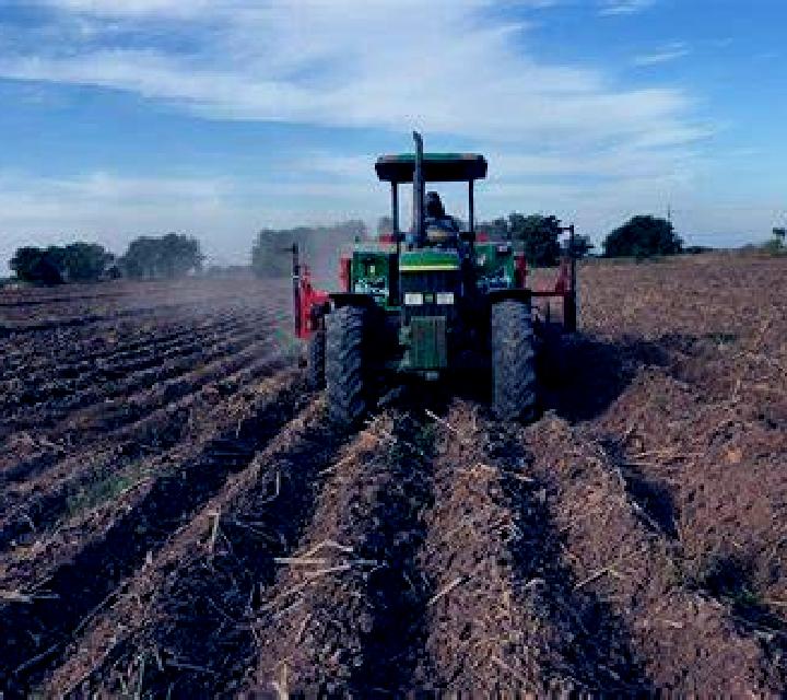 Vega 3 Labranza escort