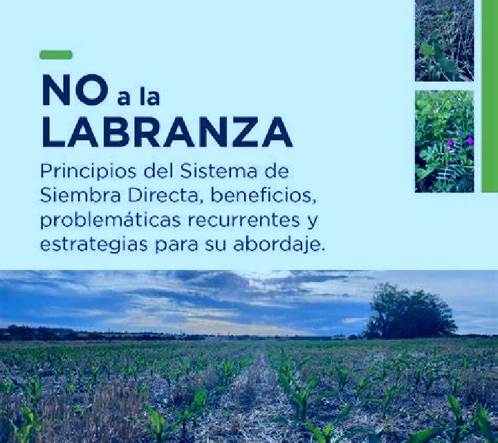 Vega Labranza escort