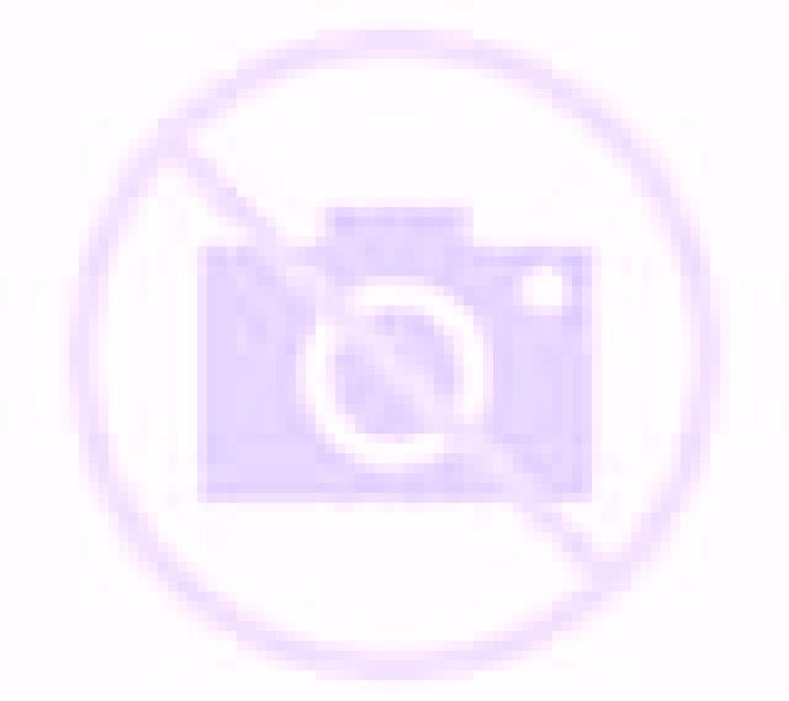Yasmin 2 Taltal escort