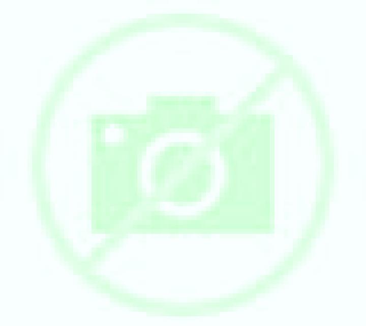 Yasmin Perquenco escort