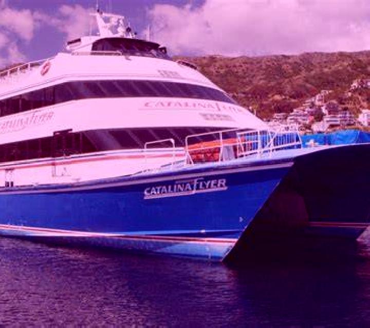 Zara 2 Valdivia escort